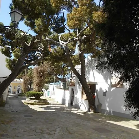 Dom wakacyjny Casa Ceselle *