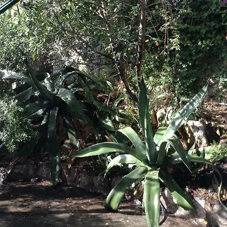Casa Ceselle *