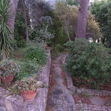 Casa Ceselle Anacapri (Isola di Capri)